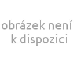 Obrázek pro produkt Brusný pás pro opracování povrchu (nespojený), 600 x 40, hrubý