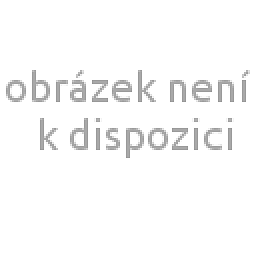 Obrázek produktu Tepelně zpracované segmenty pro HSBM 2020-20 SB