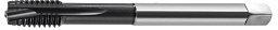 Obrázek pro produkt AKCE - Závitník MasterTAP M33-6HX DIN-376 B HSSE-PM HL
