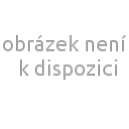 Obrázek pro produkt ACCUD CABLE-ESF0430 kabel s kamerou pro videoskop řady ESF, 3.9mm/3m