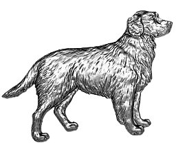 Obrázek pro produkt MetalCraft MC1214 dekorativní prvek - zlatý retrívr A27