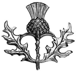 Obrázek pro produkt MetalCraft MC1216 dekorativní prvek - skotský bodlák